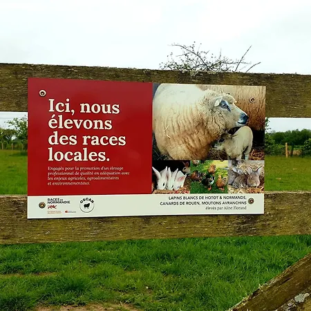 Alpstuga Le Du Clos Giot Saint-Vaast-la-Hougue