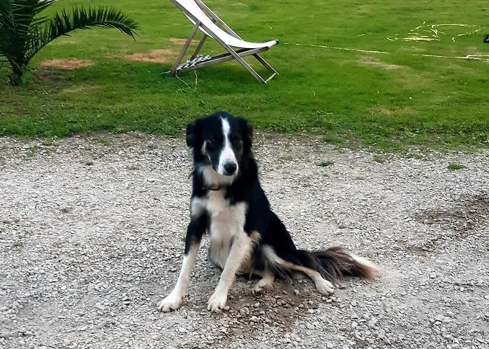 Шале Le Du Clos Giot