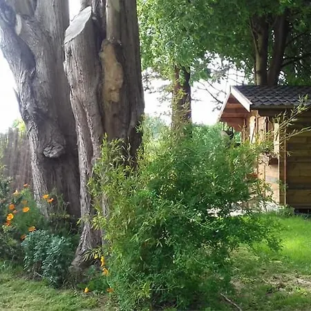 شاليه Le Du Clos Giot سانت-فاست-لا-هوغ