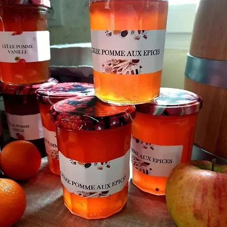 شاليه Le Du Clos Giot *
