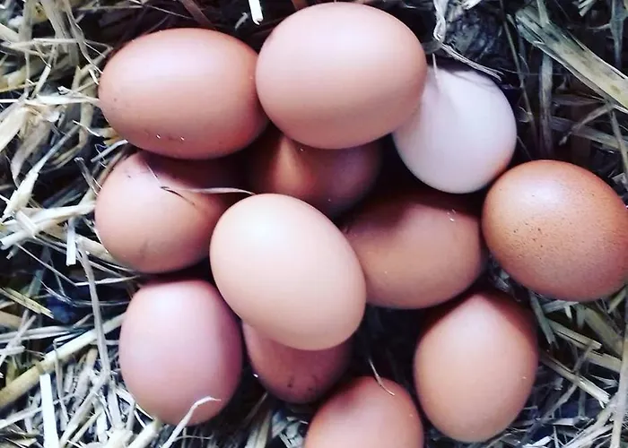 샬레 Le Du Clos Giot 생 바스트 라 우게